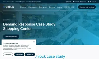 Preview of the New York City Shopping Center Case Study