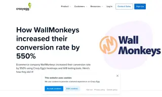 Preview of the WallMonkeys Case Study
