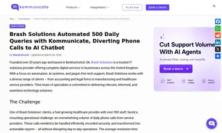 Preview of the Brash Solutions Case Study