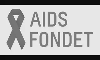Preview of the AIDS-Fondet (the AIDS Foundation) Case Study