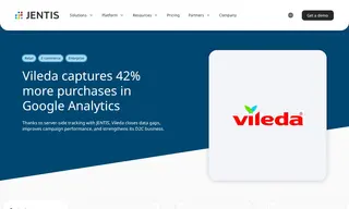 Preview of the Vileda Case Study