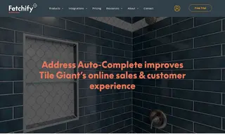 Preview of the Tile Giant Case Study