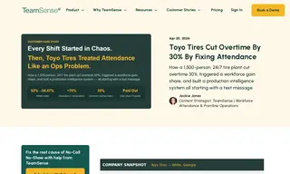 Preview of the Toyo Tires Case Study