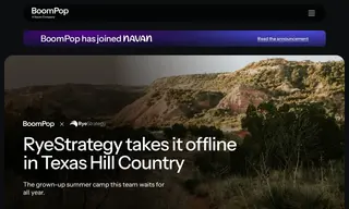 Preview of the RyeStrategy Case Study