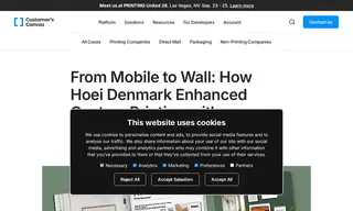 Preview of the Hoei Denmark A/S Case Study