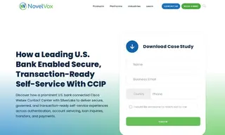 Preview of the Leading U.S. bank Case Study