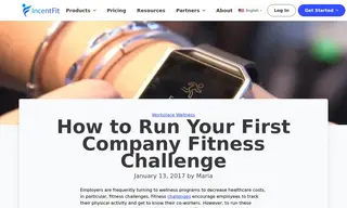 Preview of the Fitbit Case Study