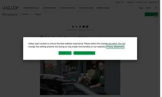 Preview of the Żabka Case Study