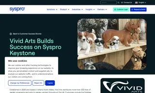 Preview of the Vivid Arts Case Study