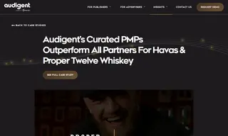 Preview of the Havas Case Study