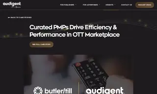 Preview of the Butler/Till Case Study