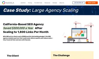 Preview of the California-Based SEO Agency Case Study