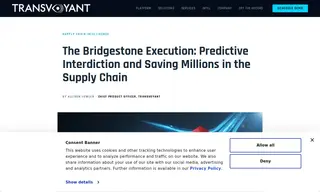 Preview of the BridgeStone Case Study