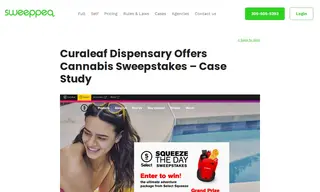 Preview of the Curaleaf Holdings Case Study