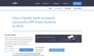 Preview of the Nordic bank Case Study