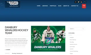 Preview of the Danbury Whalers LLC Case Study