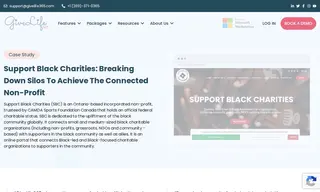 Preview of the Support Black Charities Case Study