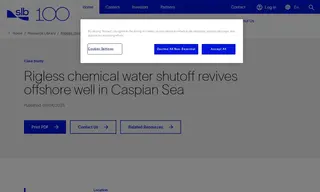 Preview of the Dragon Oil Turkmenistan Ltd Case Study