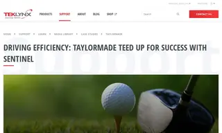 Preview of the TaylorMade Golf Case Study