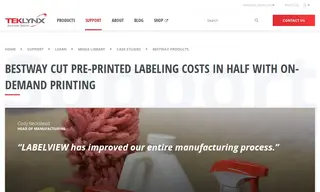 Preview of the Bestway Products Case Study