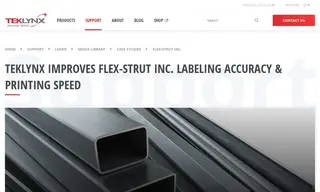 Preview of the Flex-Strut Case Study