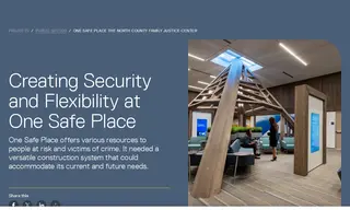 Preview of the One Safe Place Case Study
