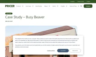Preview of the Busy Beaver Case Study