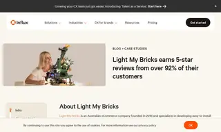 Preview of the Light My Bricks Case Study