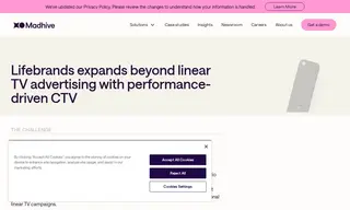 Preview of the LifeBrands Case Study