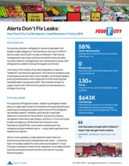 Preview of the Food City Case Study