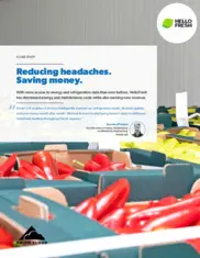 Preview of the HelloFresh Case Study