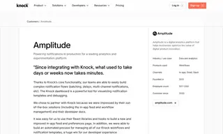 Preview of the Amplitude Case Study