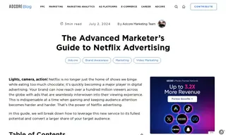 Preview of the Netflix Case Study