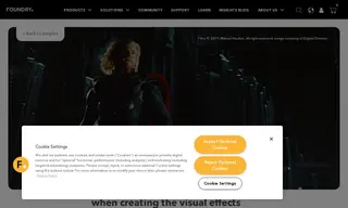 Preview of the Digital Domain Case Study