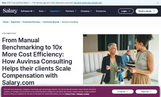 Preview of the Auvinsa Consulting Case Study