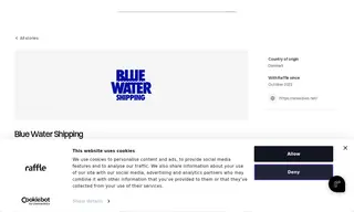 Preview of the Blue Water Shipping Case Study
