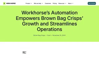 Preview of the Brown Bag Crisps Case Study