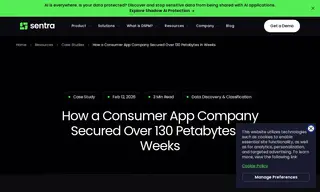 Preview of the Consumer App Company Case Study