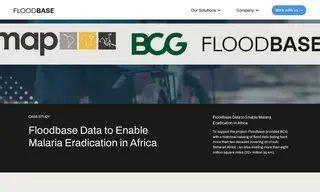 Preview of the Boston Consulting Group (bcg) Case Study