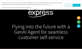 Preview of the Air India Express Case Study