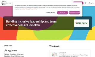 Preview of the Heineken Case Study