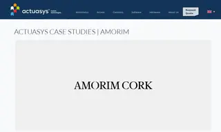 Preview of the Amorim Case Study