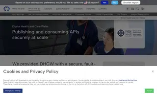 Preview of the Digital Health and Care Wales Case Study