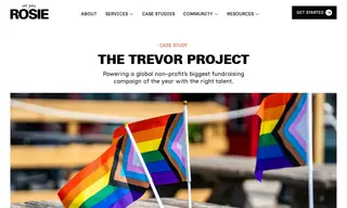 Preview of the The Trevor Project Case Study
