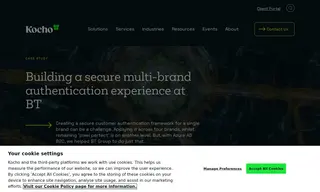 Preview of the BT Group Case Study