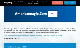 Preview of the Americaneagle.com Case Study