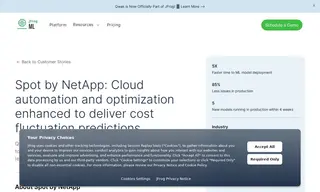 Preview of the Spot by NetApp Case Study