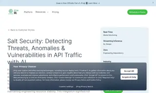 Preview of the Salt Security Case Study