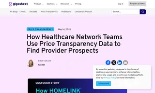 Preview of the Homelink Case Study