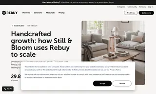 Preview of the Still & Bloom Case Study